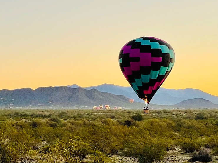 Hot air balloons on a cool morning in the desert.